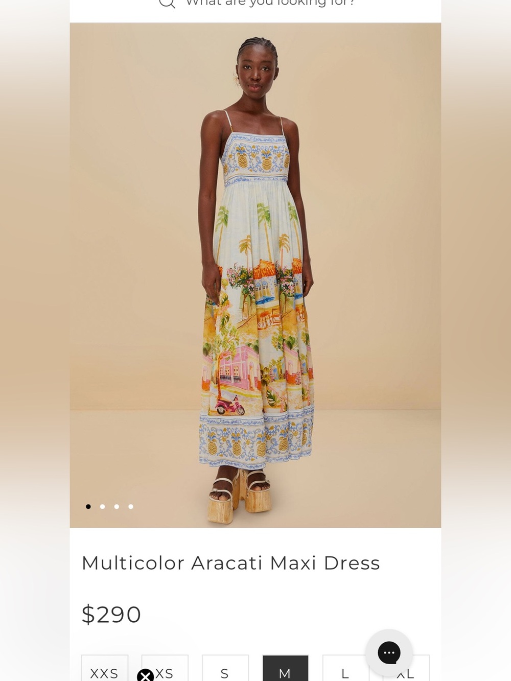 Farm Rio Aracati Maxi Dress - NEW